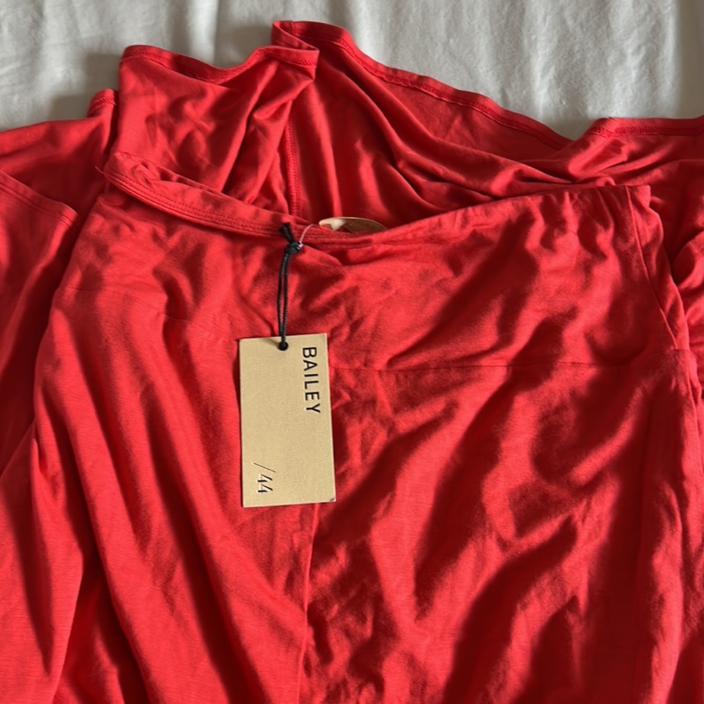 Bailey44 - Picture 5 of 6